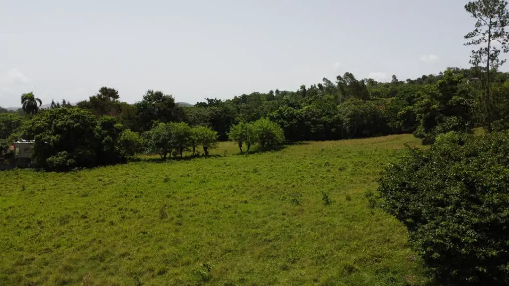 Solar de venta en Proyecto Cerrado en Jarabacoa RPS-133 Foto 7240817-1.jpg