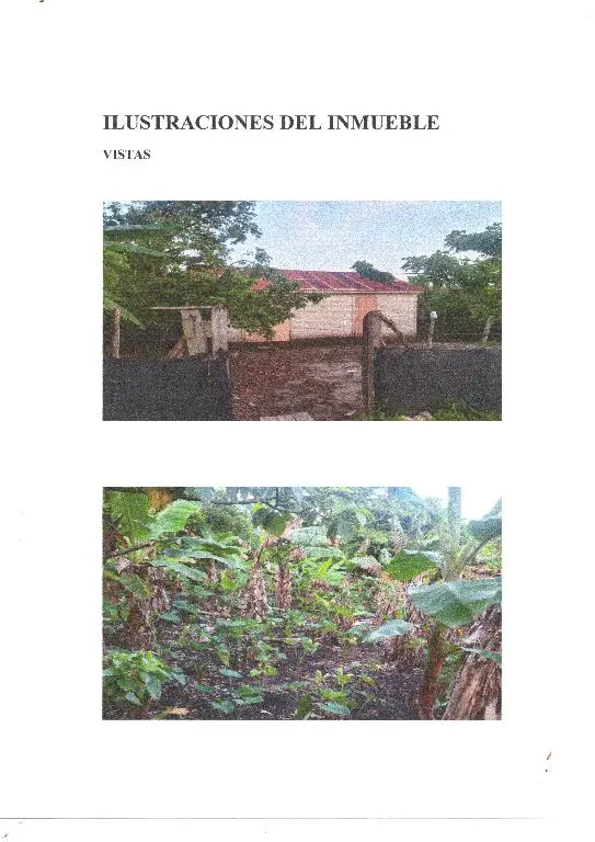 Lantigua Venta de Finca cercada y acondicionada Foto 7241124-2.jpg