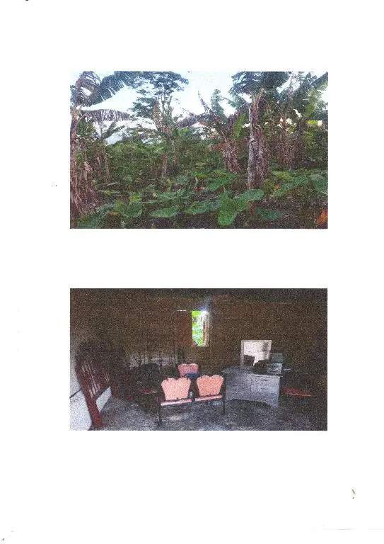 Lantigua Venta de Finca cercada y acondicionada Foto 7241124-3.jpg