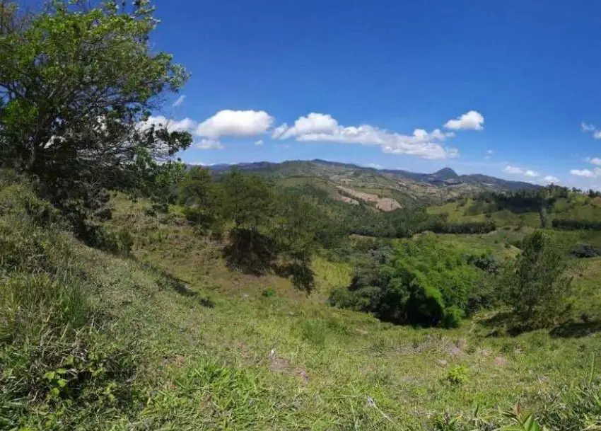 Venta de Productiva Finca con río en Jarabacoa RPF-102 Foto 7241140-1.jpg