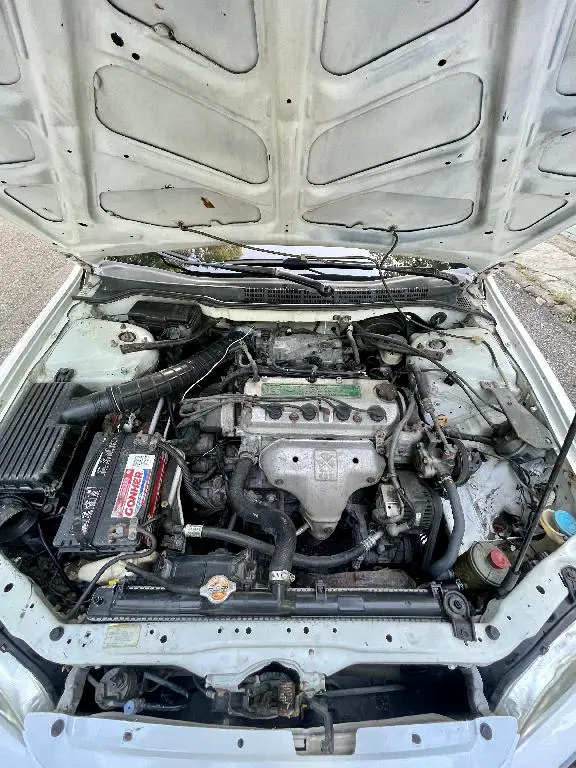 Honda Accord V4 en San Cristóbal Foto 7241425-9.jpg