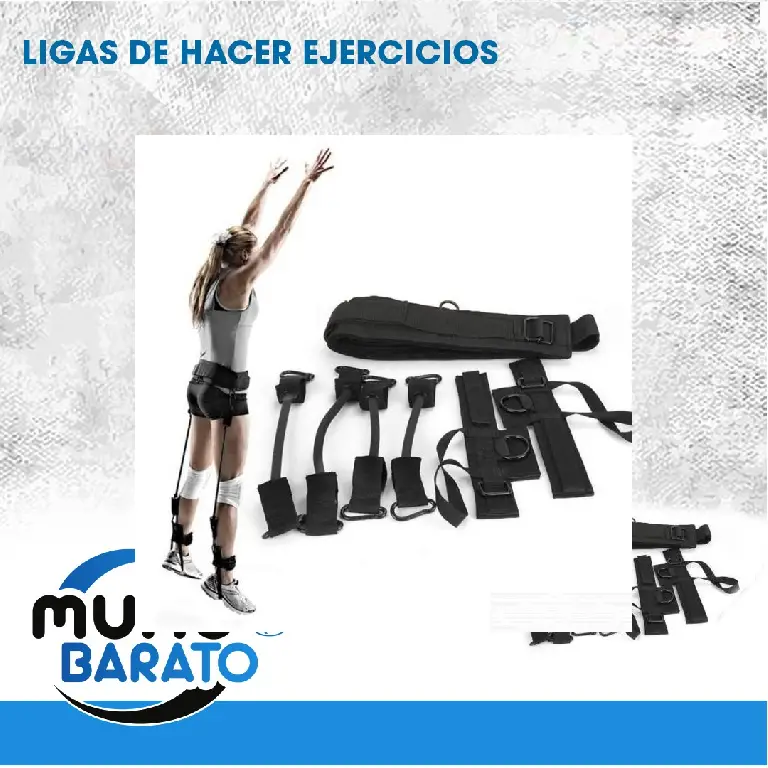 Bandas ligas de ejercicio ENTRENADOR VERTICAL DE ALTO SALTO CINTURON r Foto 7242264-2.jpg