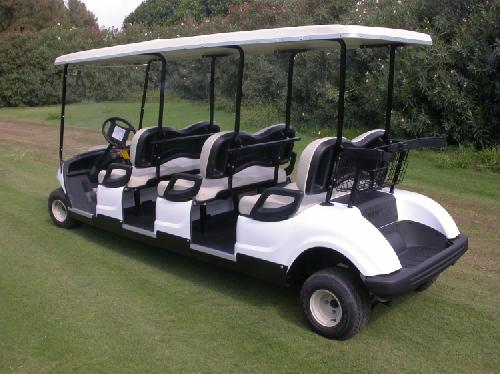 DISTRIBUIDOR DE CARRITO DE GOLF / CARRO DE GOLF / GOLF CART  PARA VILL Foto 7242480-2.jpg