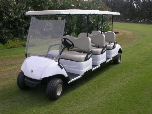 DISTRIBUIDOR DE CARRITO DE GOLF / CARRO DE GOLF / GOLF CART  PARA VILL Foto 7242480-3.jpg
