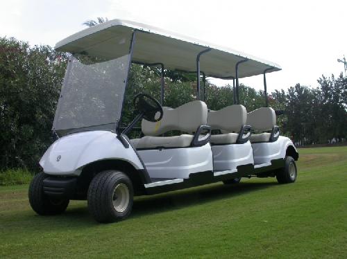 DISTRIBUIDOR DE CARRITO DE GOLF / CARRO DE GOLF / GOLF CART  PARA VILL Foto 7242480-4.jpg