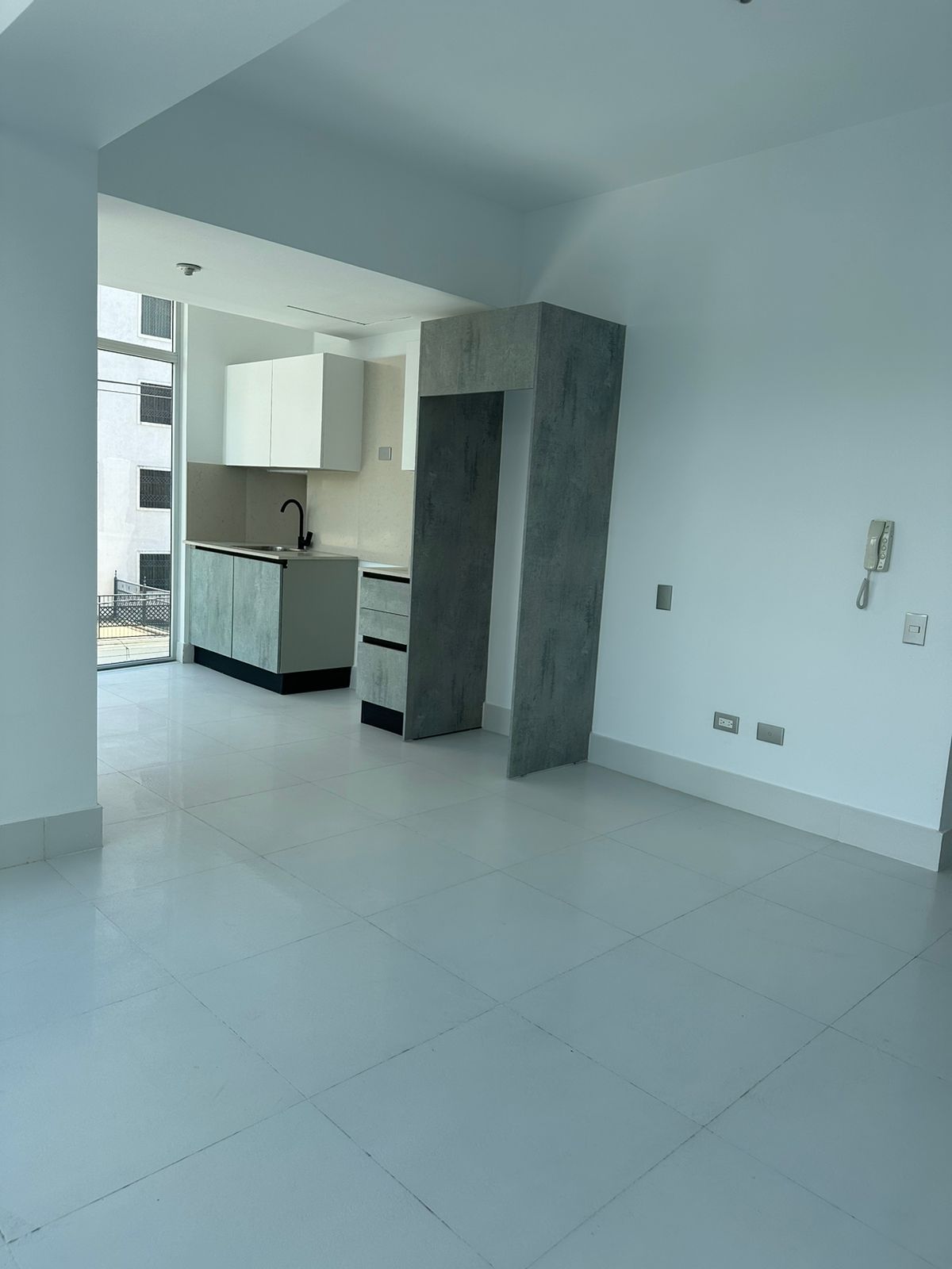 Apartamento en venta amueblado de 1 Habitacion en Piantini Foto 7242653-1.jpg