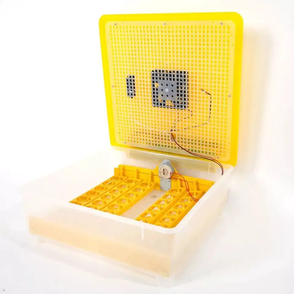 INCUBADORA AUTOMATICA DE 48 HUEVOS CON GARANTIA Y SERVICIOS TECNICOS  Foto 7242721-1.jpg