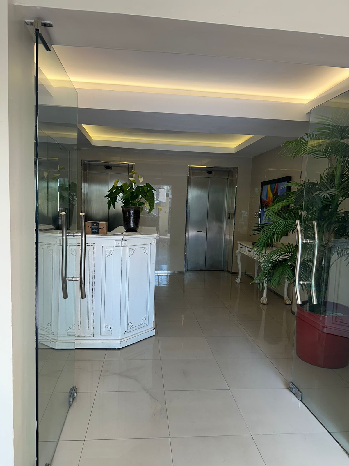 Alquiler De Apartamento Amueblado De 1 Habitacion En Piantini Foto 7242740-13.jpg