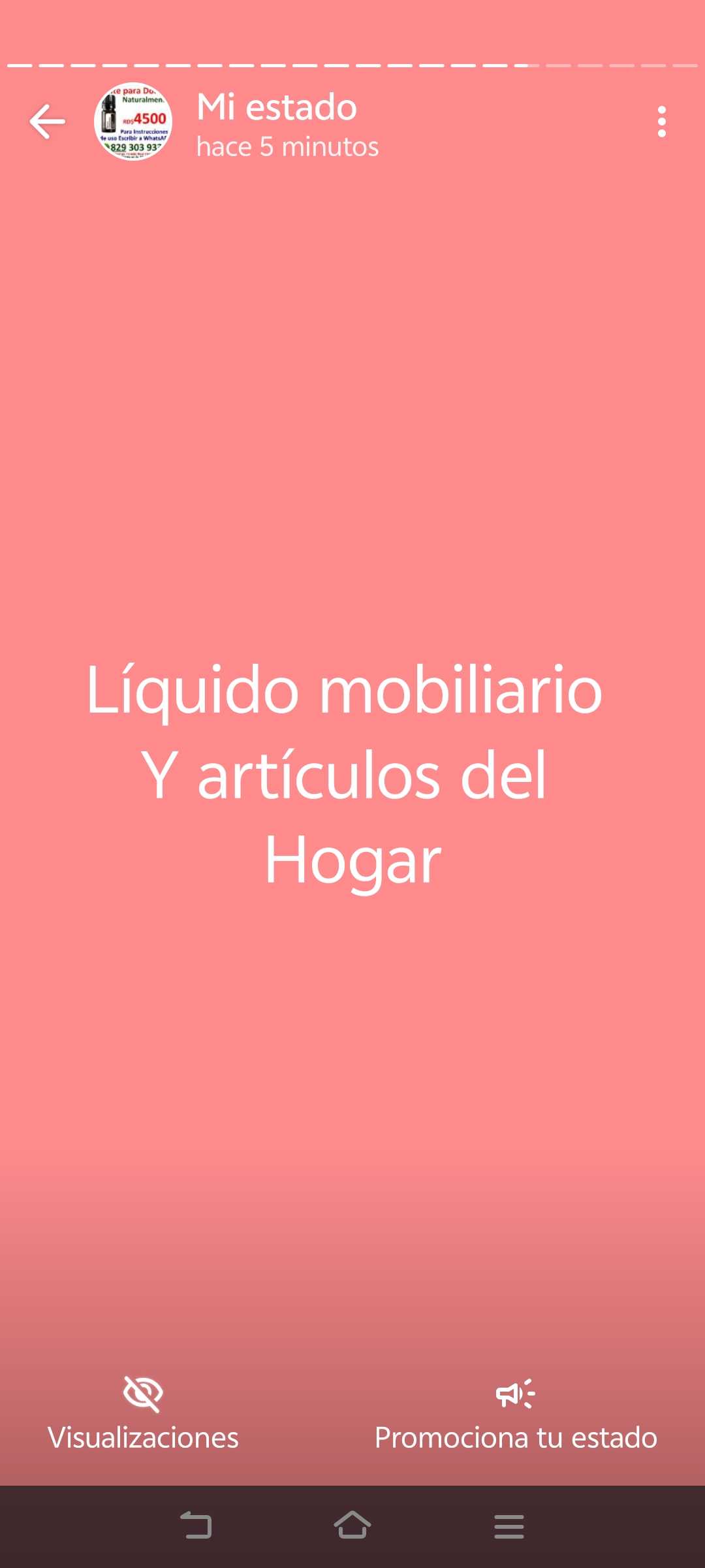 Equipos para tienes organización canastos estantes  Foto 7242835-3.jpg