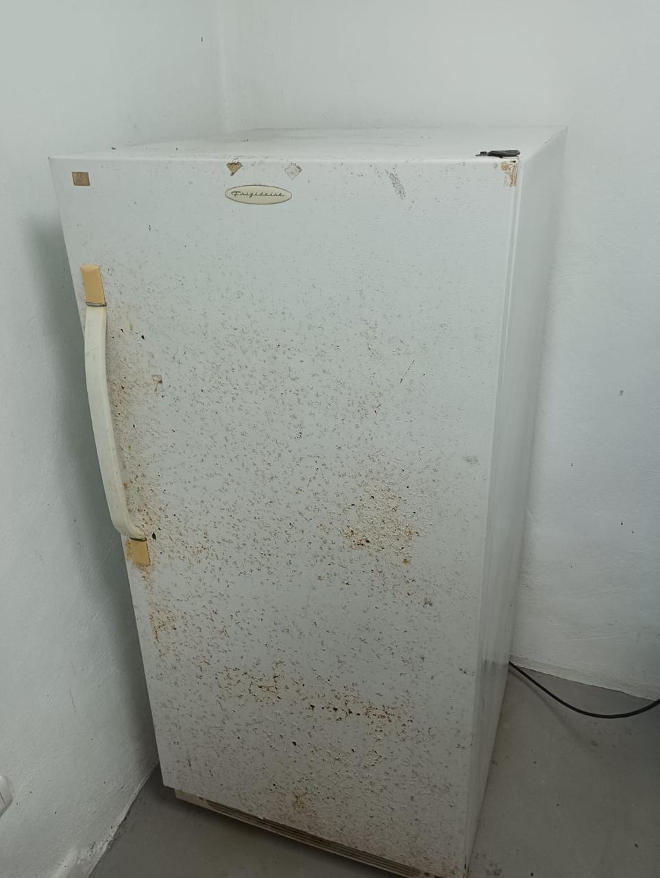 Freezer Frigidaire  Foto 7242855-2.jpg