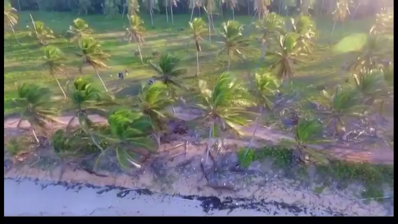 Terreno en Venta en Bávaro La Vacama Título Definitivo Con 1500 metros Foto 7243764-3.jpg