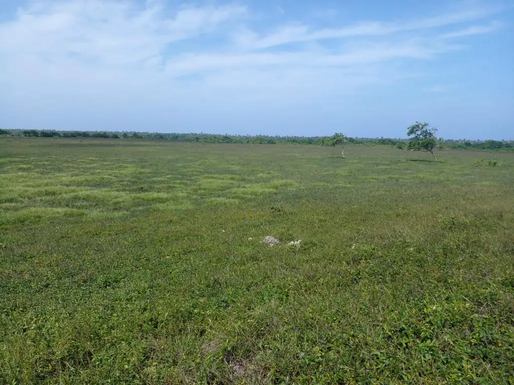 Terreno en Venta en Bávaro La Vacama Título Definitivo Con 1500 metros Foto 7243764-5.jpg