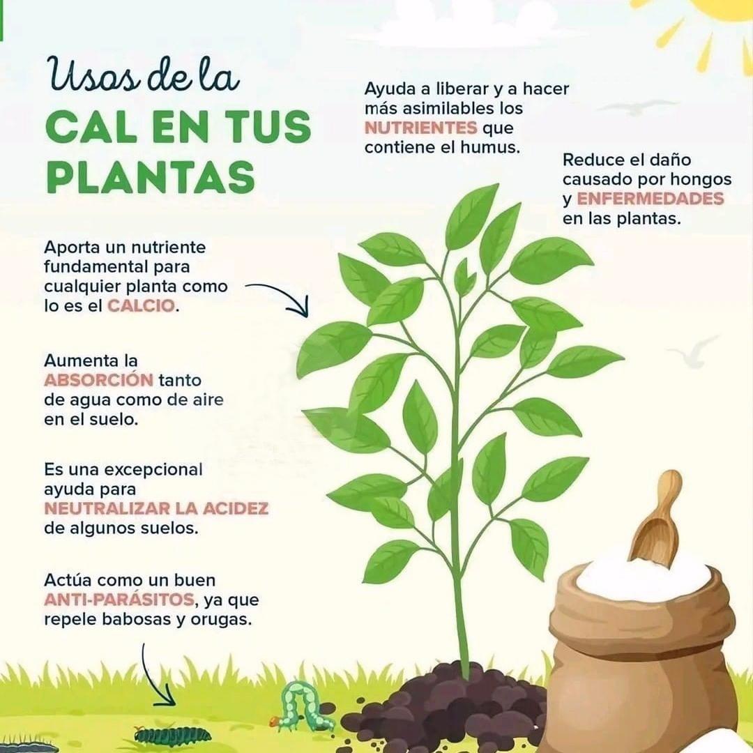 Cal Agricola Acondicionador de Suelo Foto 7244451-1.jpg