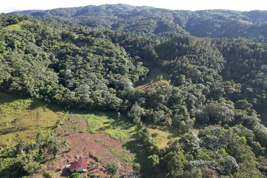 Familia Vende Terreno Completo 140 Tareas Para Proyecto Ecoturístico e Foto 7244577-1.jpg