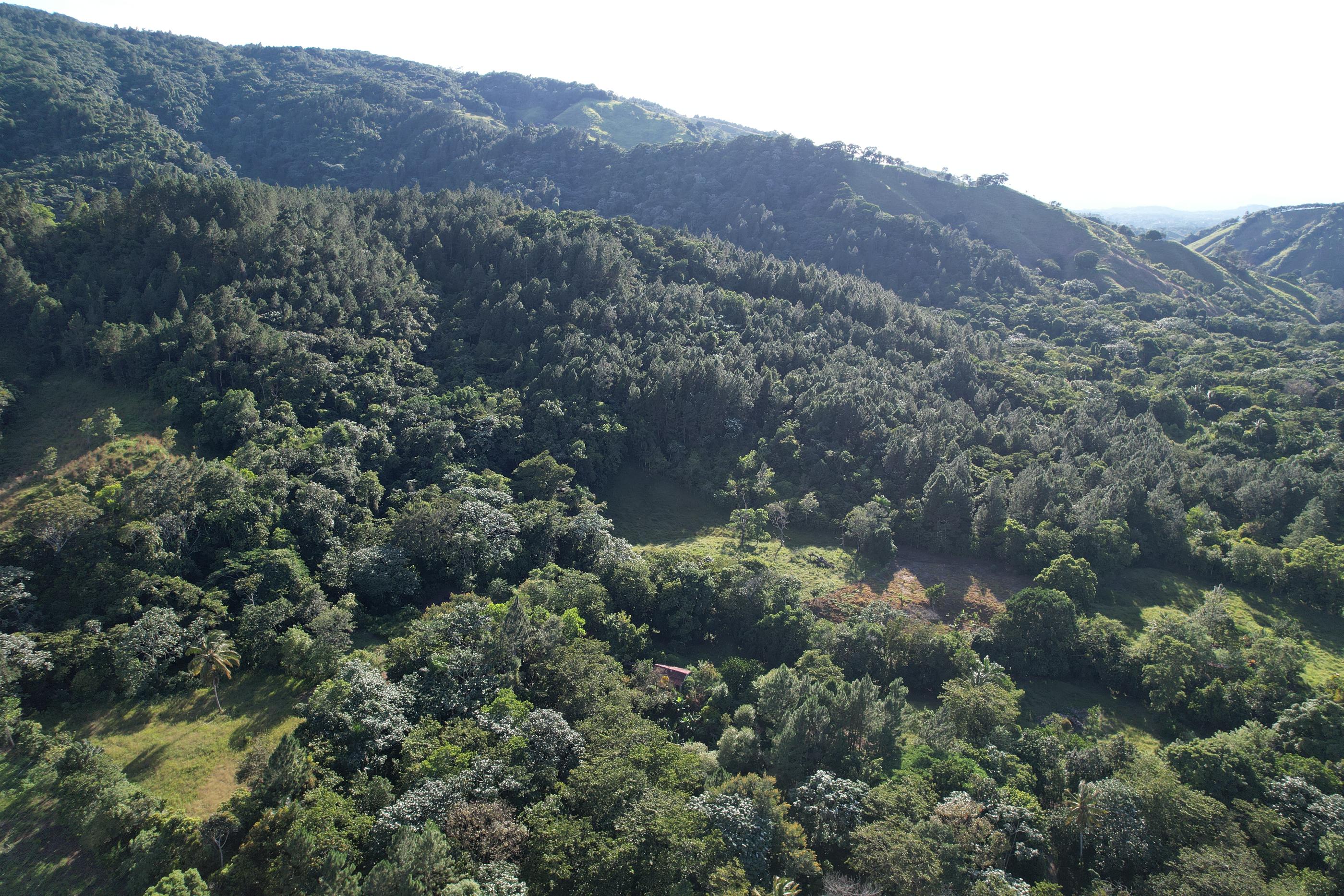 Familia Vende Terreno Completo 140 Tareas Para Proyecto Ecoturístico e Foto 7244577-2.jpg