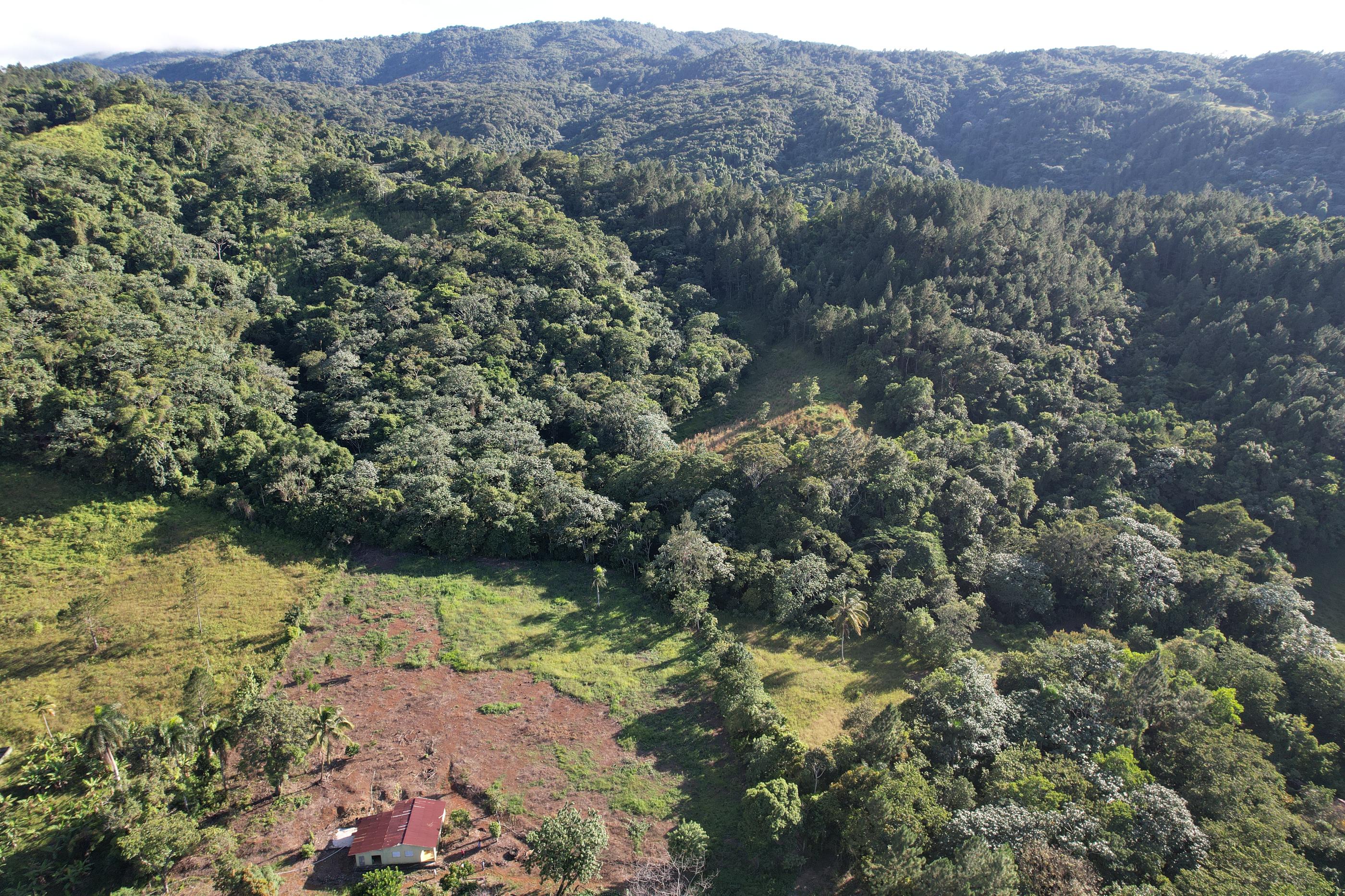 Familia Vende Terreno Completo 140 Tareas Para Proyecto Ecoturístico e Foto 7244577-3.jpg