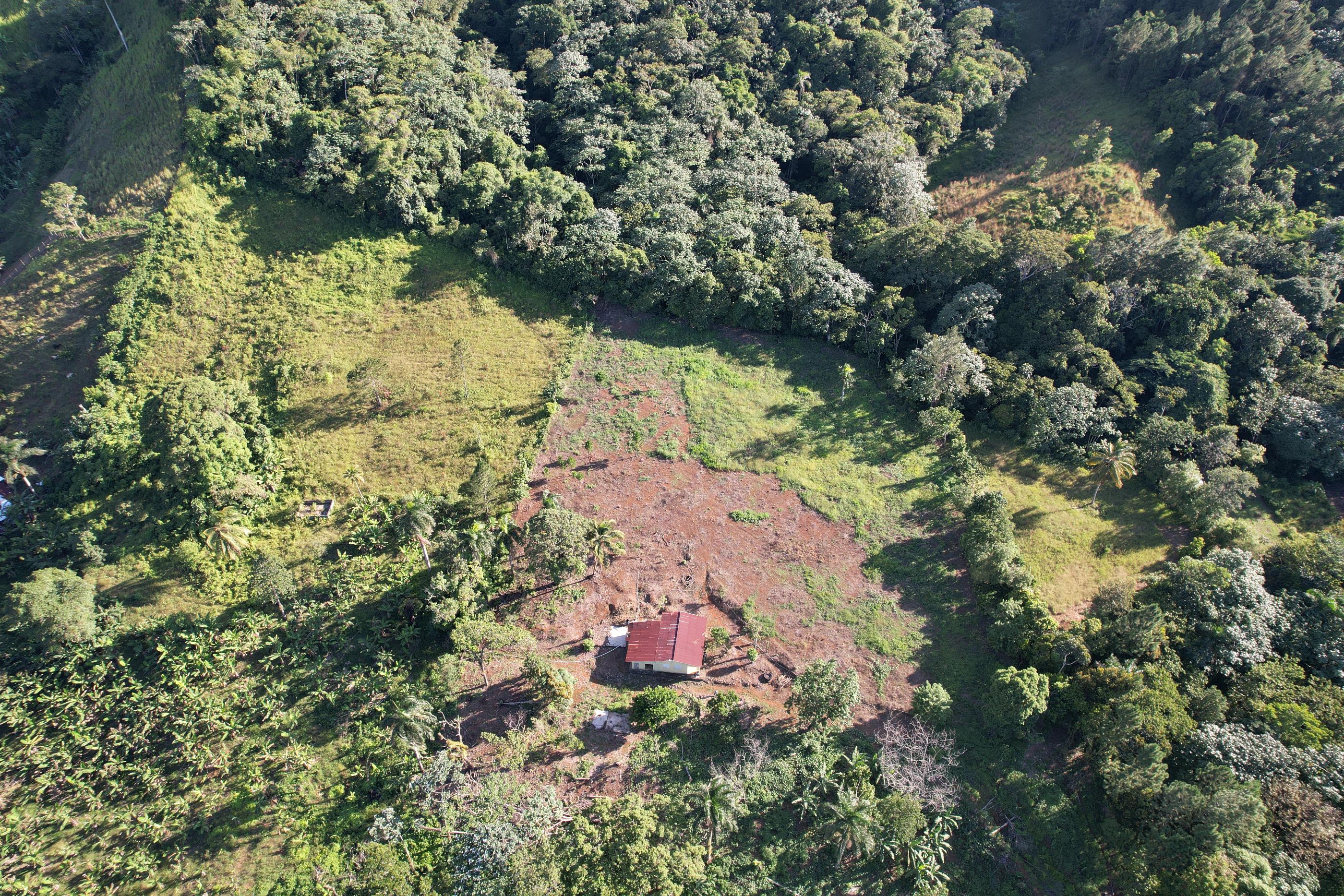 Familia Vende Terreno Completo 140 Tareas Para Proyecto Ecoturístico e Foto 7244577-4.jpg