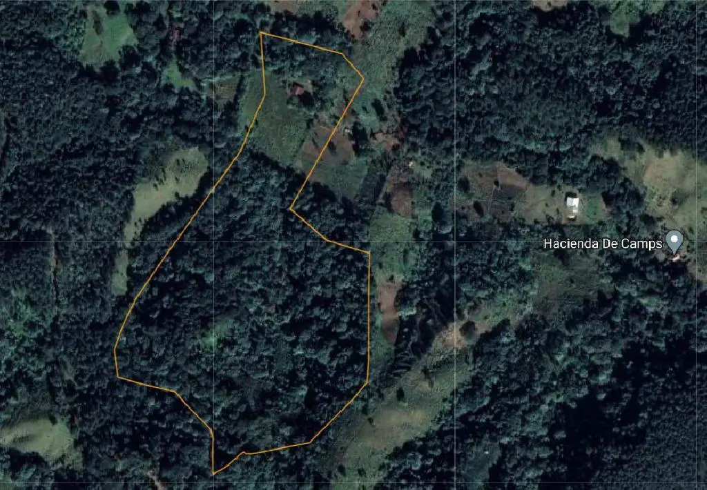 Familia Vende Terreno Completo 140 Tareas Para Proyecto Ecoturístico e Foto 7244577-5.jpg