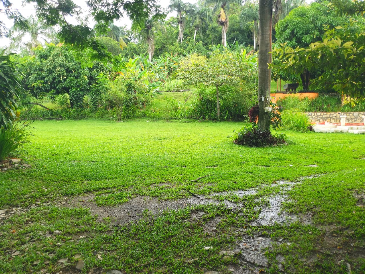 Preciosa finca en Villa Altagracia  Foto 7244917-2.jpg
