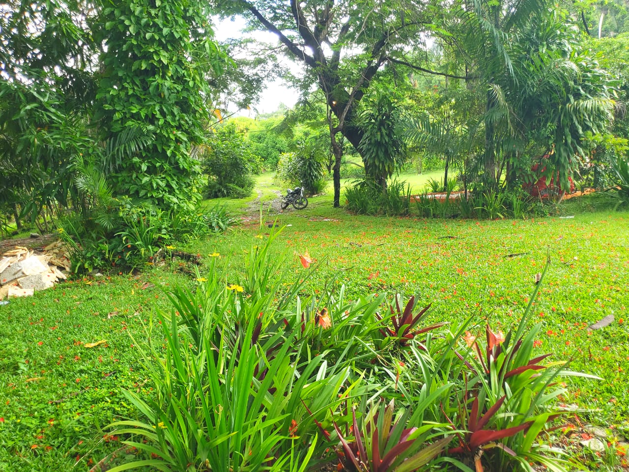 Preciosa finca en Villa Altagracia  Foto 7244917-3.jpg