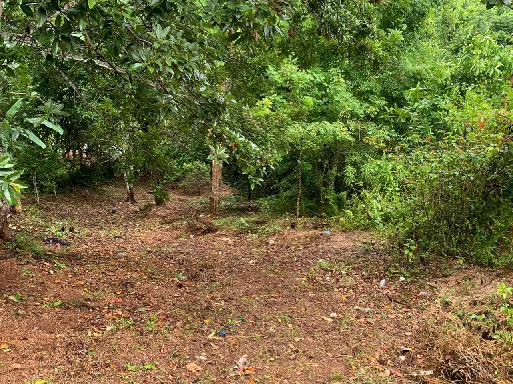 Hermosa Casa Vacacional de Montaña en Barahona Foto 7245276-2.jpg