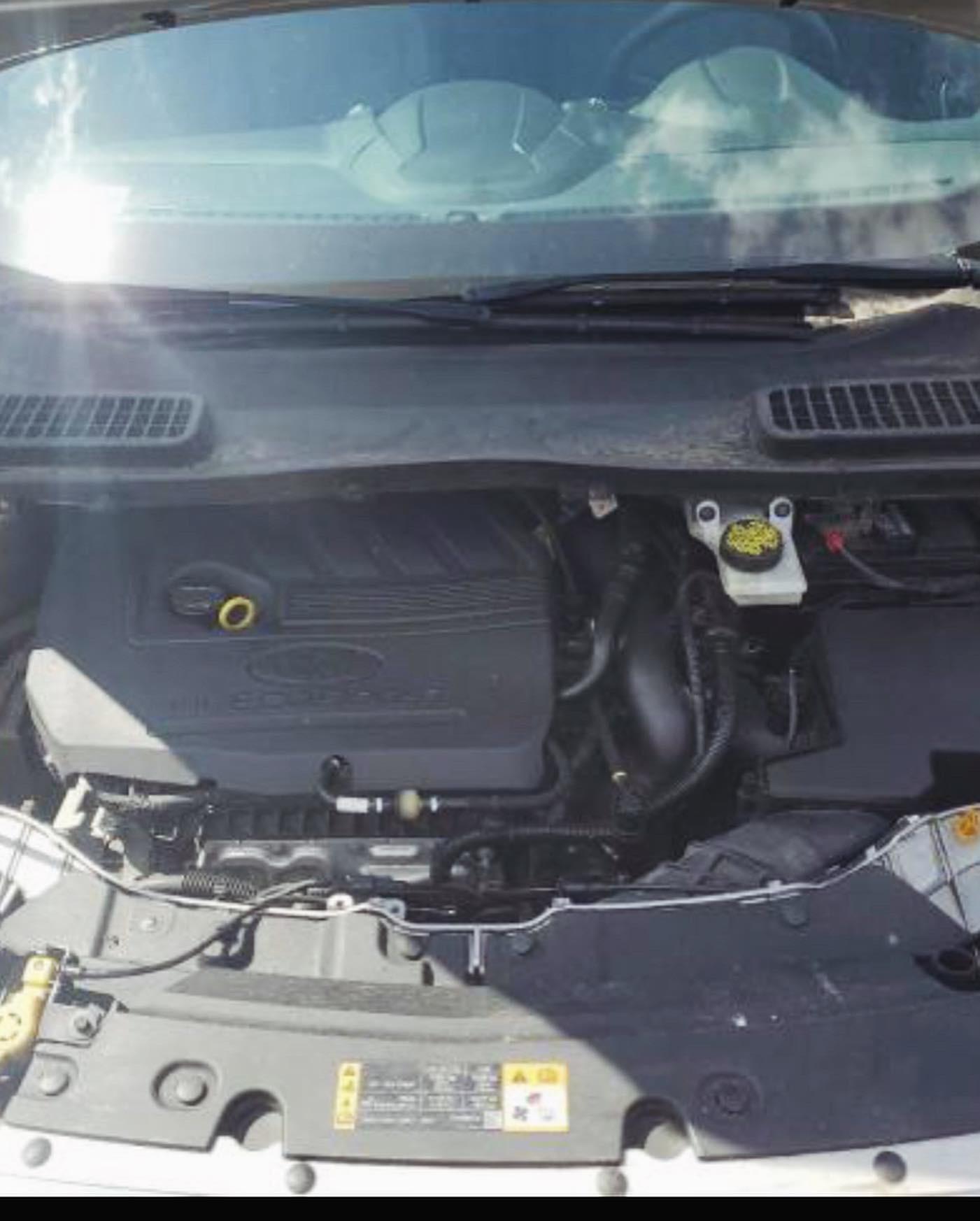 Ford  2018 Gasolina en La Romana Foto 7245620-10.jpg
