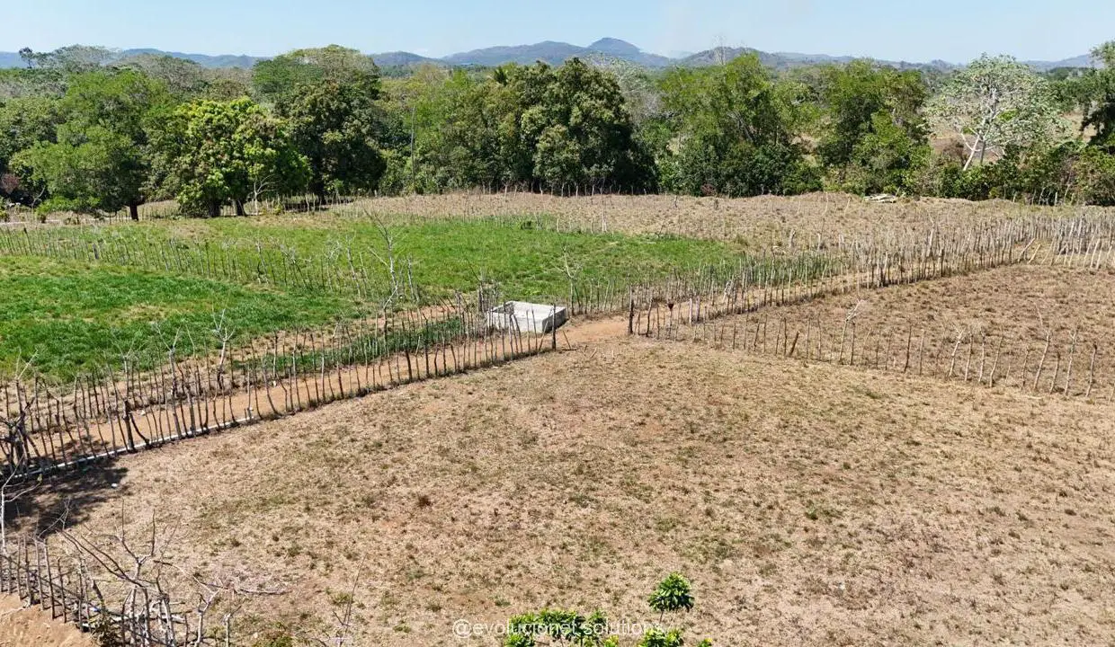 EN VENTA FINCA GRANJA GANADERA 460 TAREAS EN MONTE PLATA Foto 7246476-5.jpg