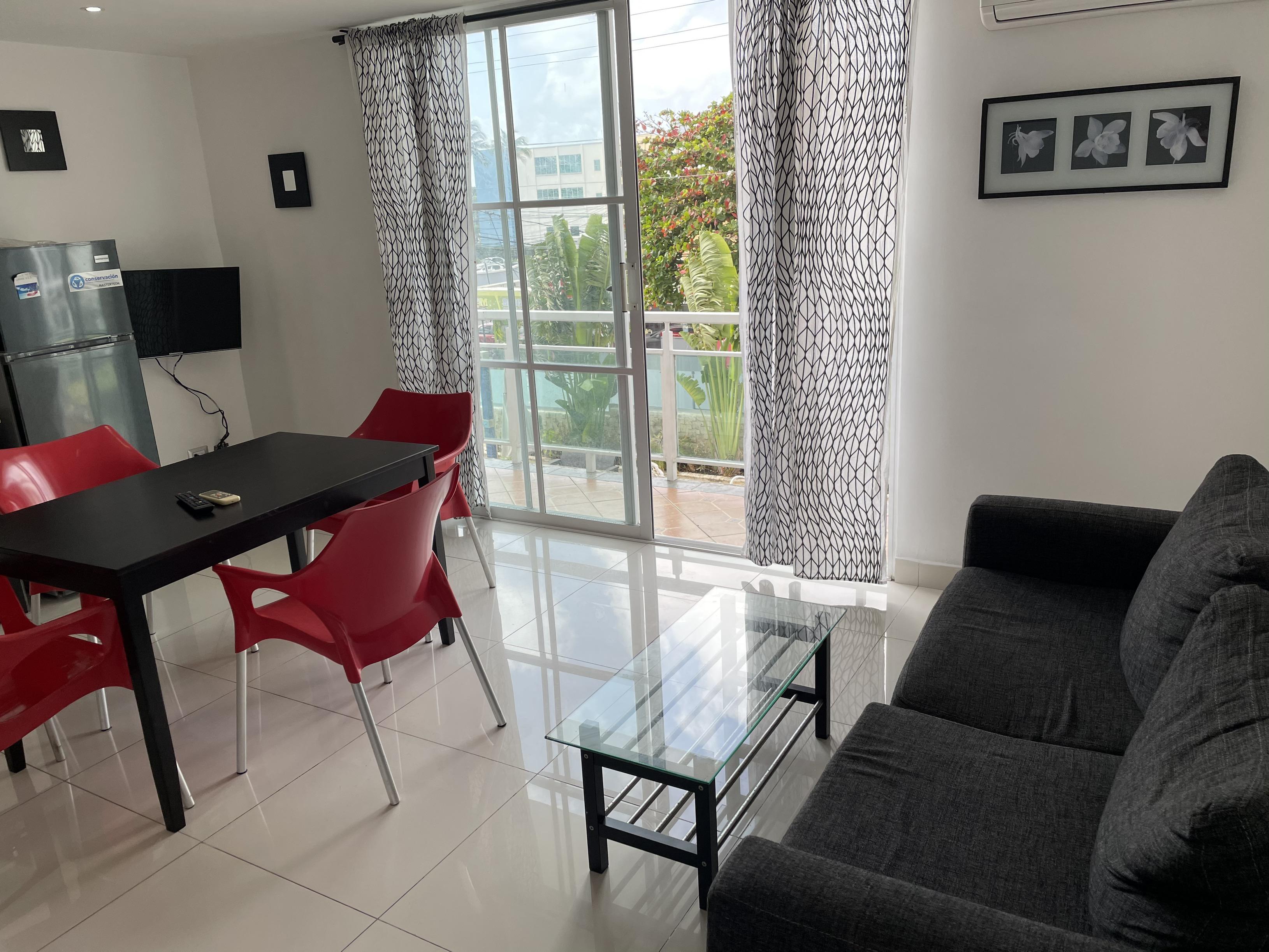 Zona Universitaria Alquilo Apartamento Amueblado De 1 Habitacion Uasd  Foto 7249239-2.jpg