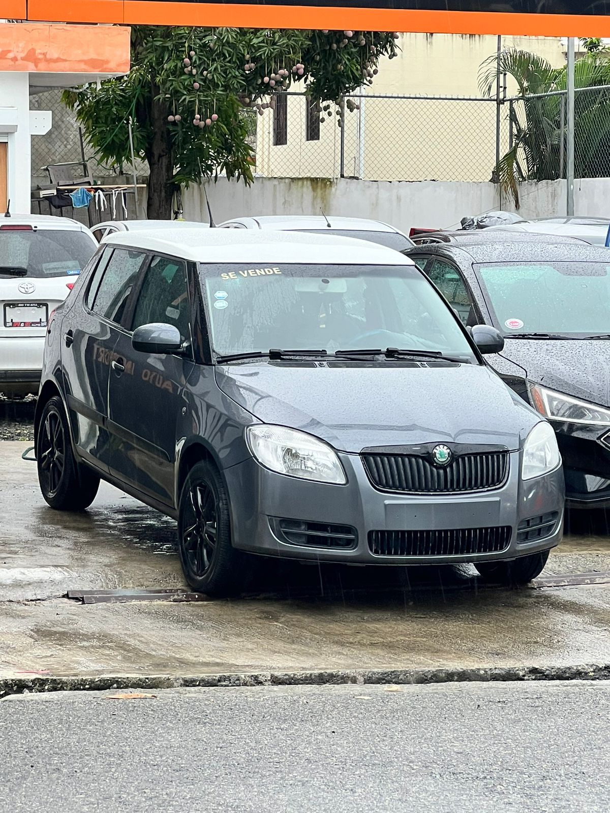 Skoda Fabia 2008  en Santo Domingo Oeste Foto 7249428-3.jpg