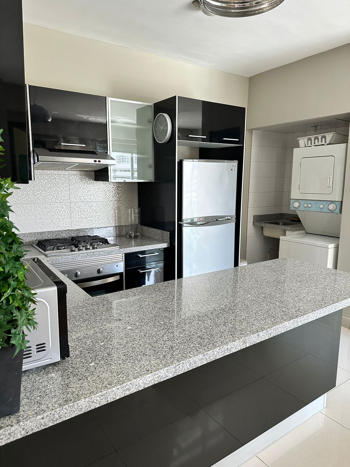 ALQUILO  APARTAMENTO AUMEBLADO PIANTINI Foto 7250054-6.jpg