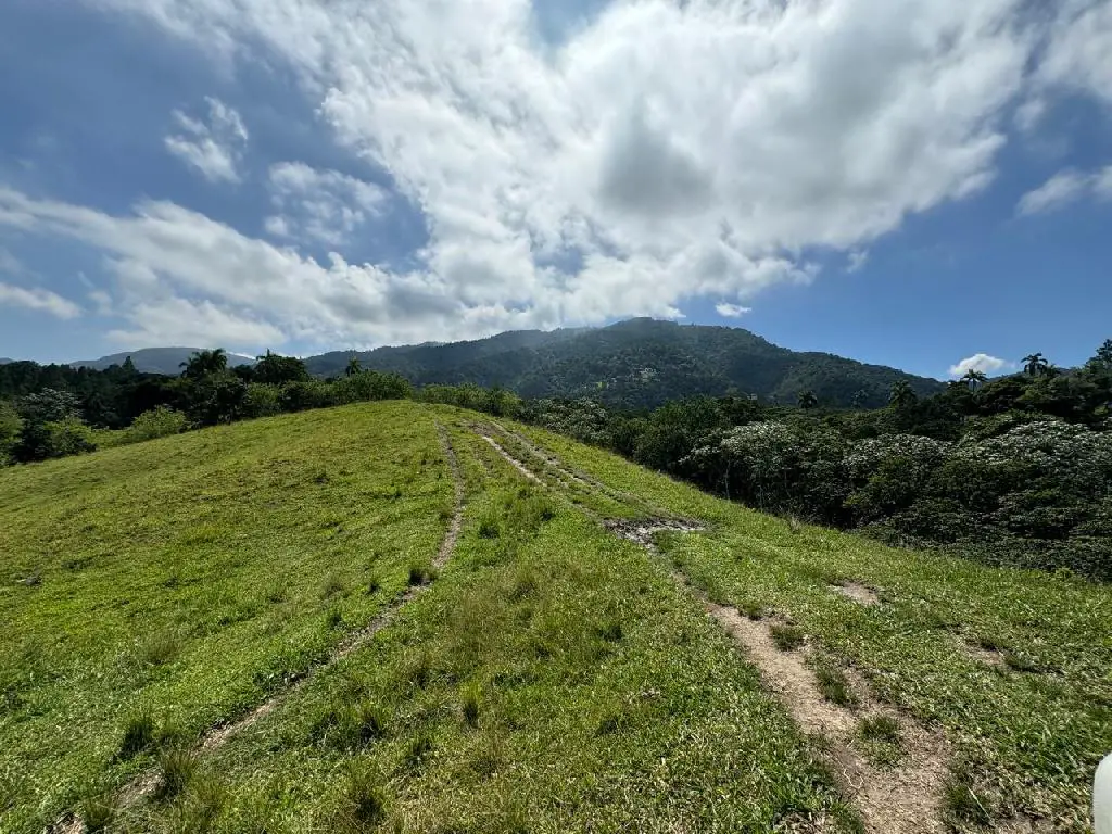 Proyecto en Venta en Zona Exclusiva en Jarabacoa con Imágenes en 3D Foto 7250086-12.jpg