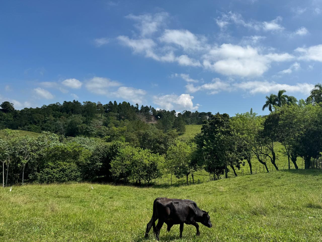Proyecto en Venta en Zona Exclusiva en Jarabacoa con Imágenes en 3D Foto 7250086-5.jpg