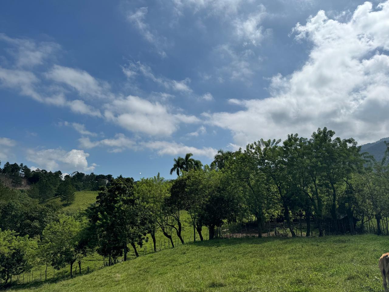 Proyecto en Venta en Zona Exclusiva en Jarabacoa con Imágenes en 3D Foto 7250086-6.jpg
