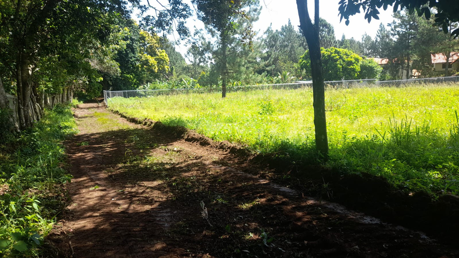 Terreno en venta en Jarabacoa Foto 7250103-7.jpg