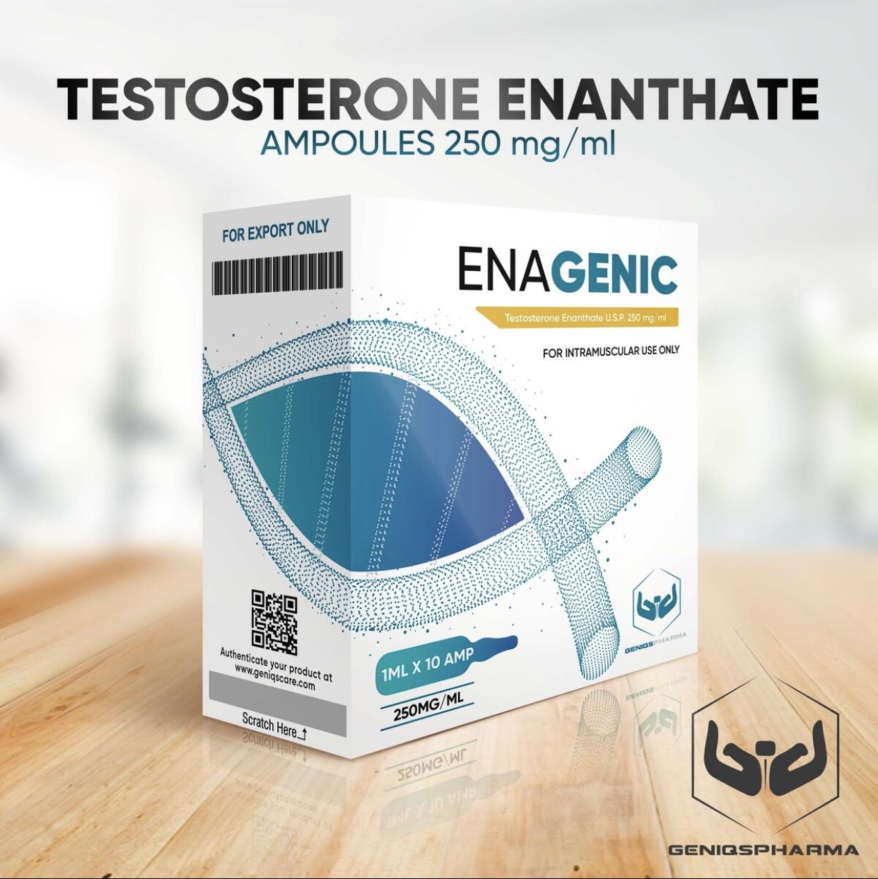Testosterona propionato cipionato enantato GENIQS PHARMA Foto 7250431-3.jpg