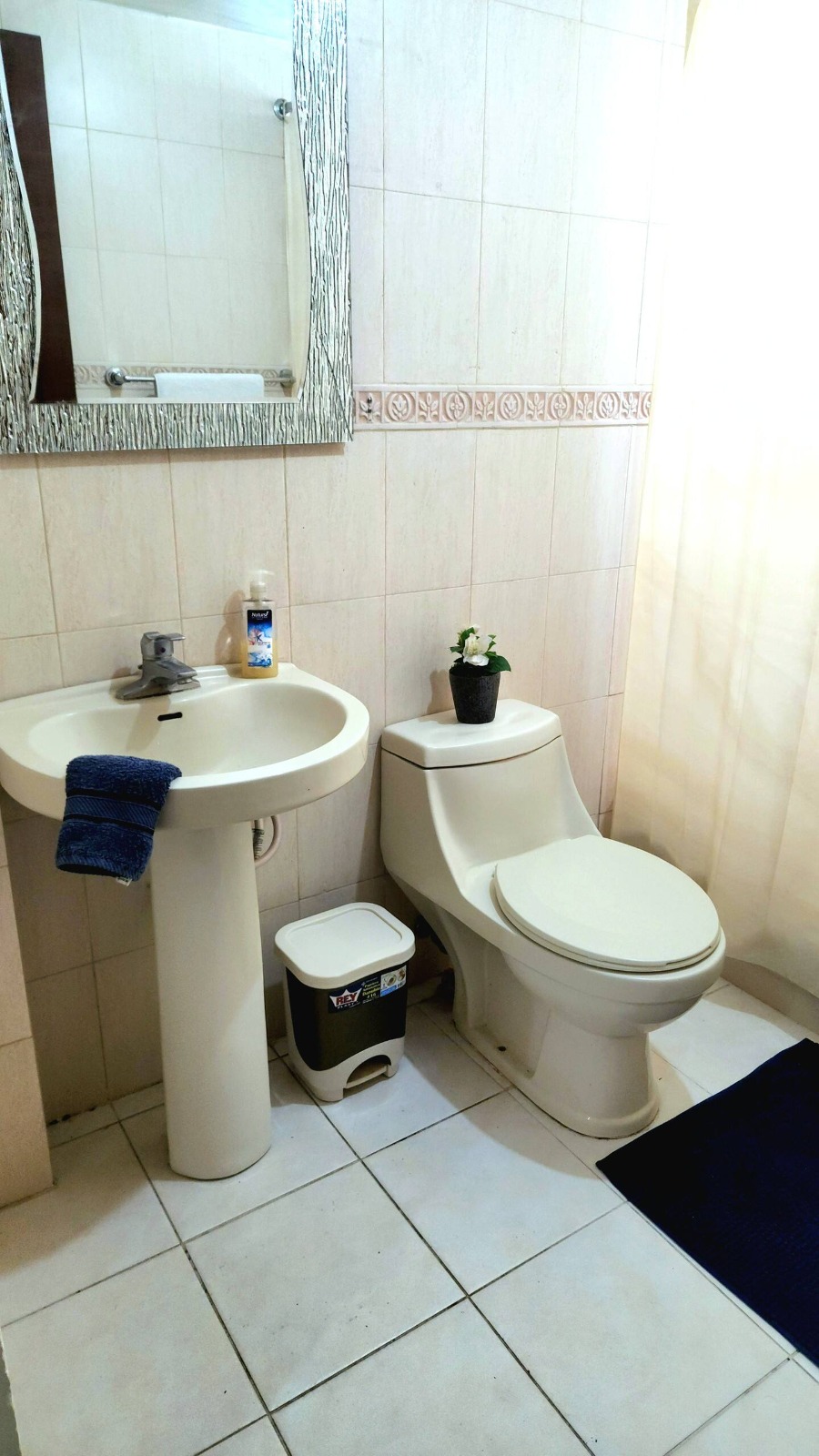 Se Renta Excelente Apartamento amueblado en el Millon Foto 7251468-6.jpg