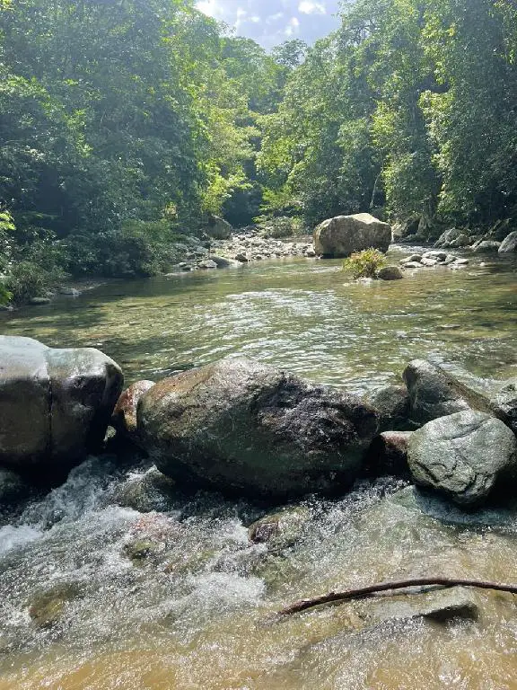 Complejo en Venta en las Montañas Jarabacoa  Foto 7251489-1.jpg