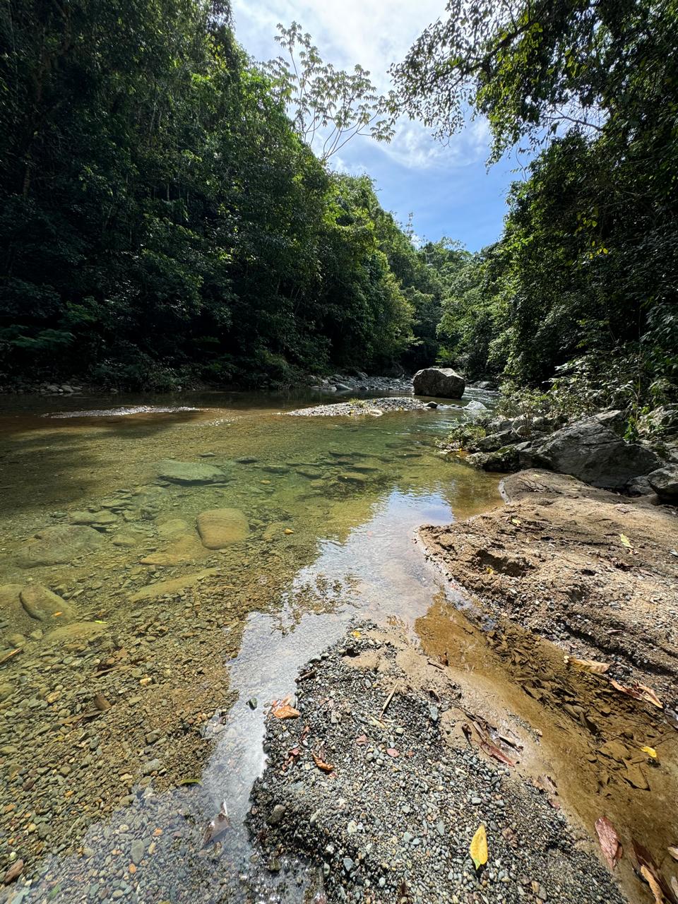 Complejo en Venta en las Montañas Jarabacoa  Foto 7251489-10.jpg