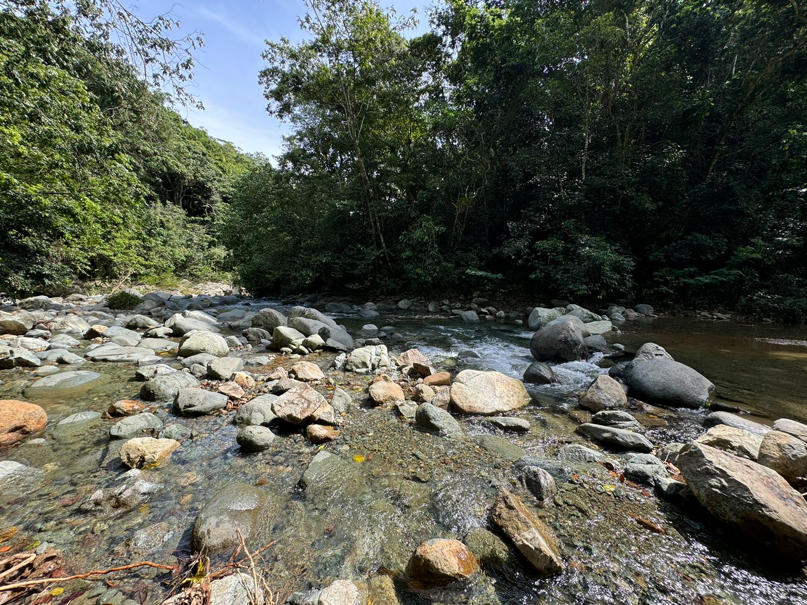 Complejo en Venta en las Montañas Jarabacoa  Foto 7251489-7.jpg