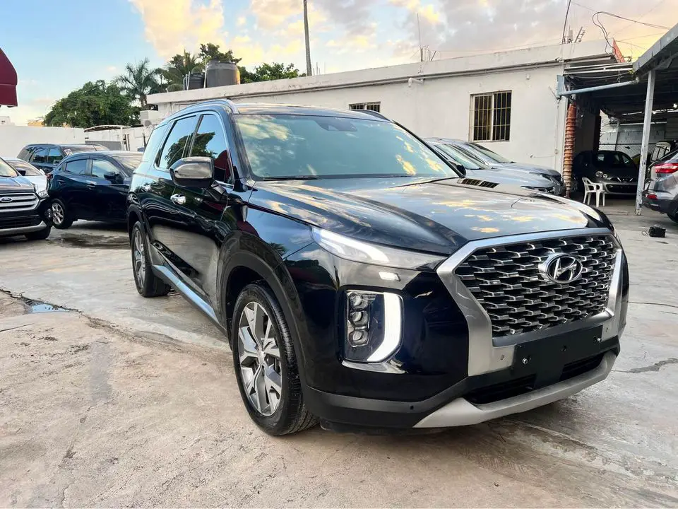 Hyundai Palisade 2019 Foto 7252385-3.jpg