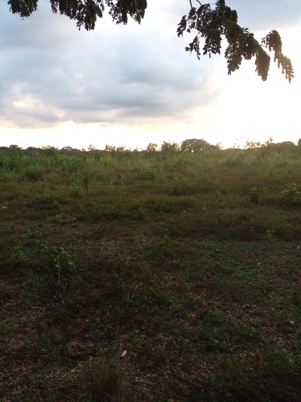 Finca en Venta Bayaguana48 Foto 7252975-4.jpg