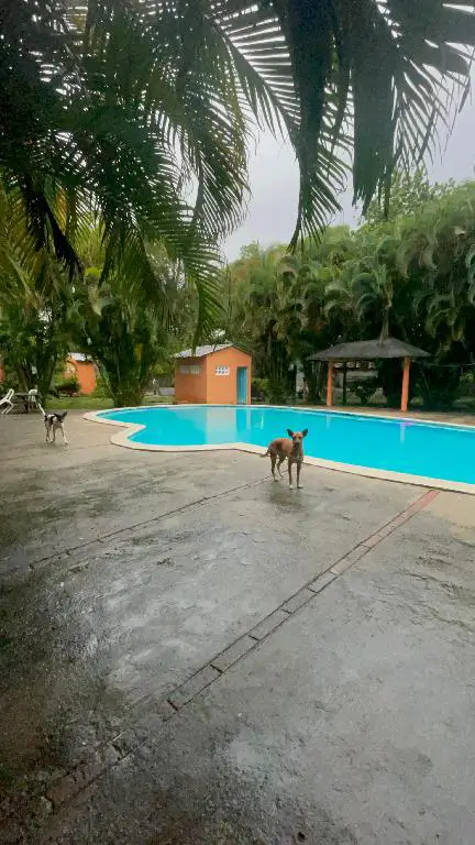 Villa con piscina en Haina Nigua  Foto 7253004-4.jpg