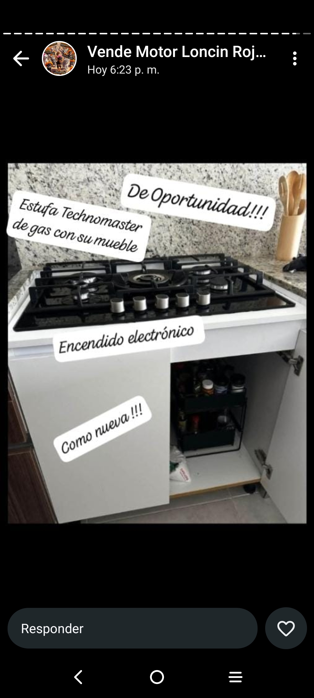 ESTUFA EMPOTRABLE USADA EN MUY BUENAS CONDICIONES CON MUEBLE INTEGRADO Foto 7253032-6.jpg