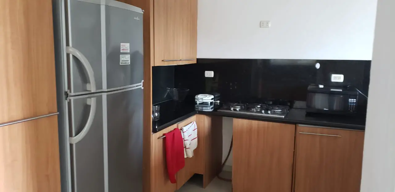Apartamento en alquiler naco Foto 7253116-8.jpg