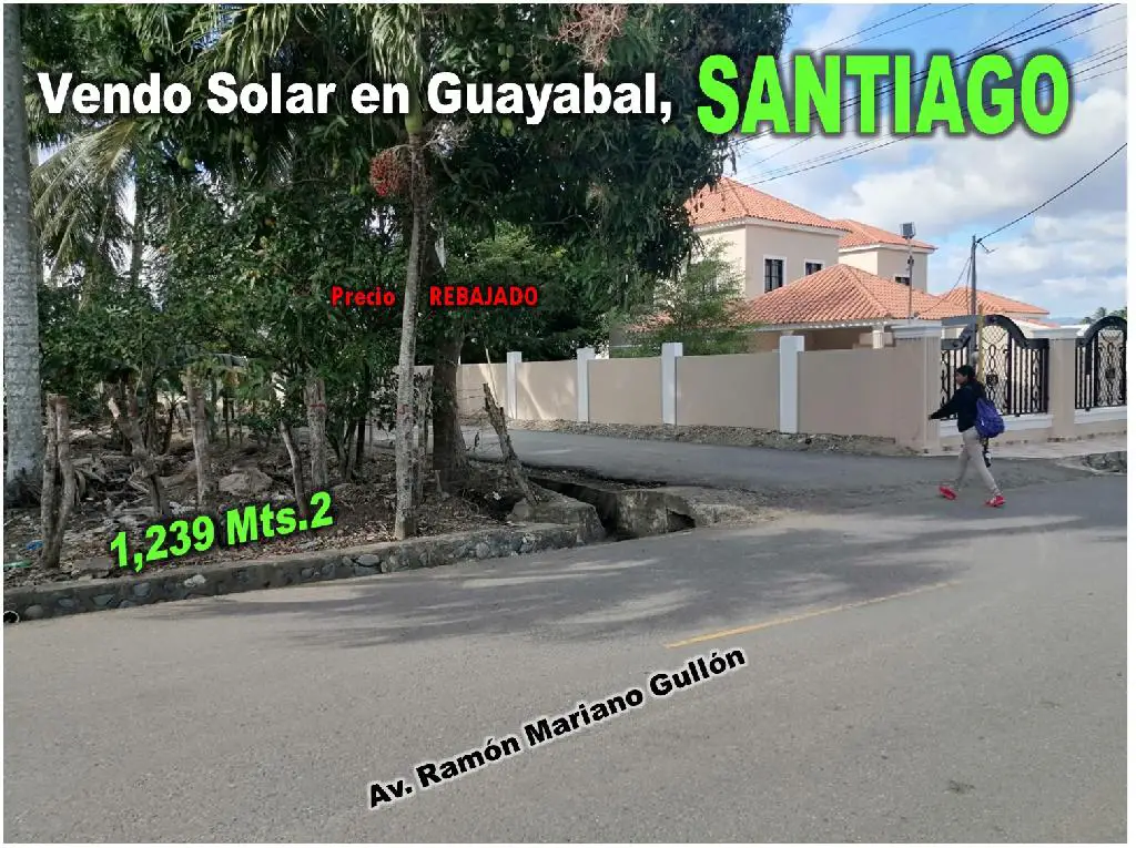 Vendo Solar en Guayabal SANTIAGO 1239 Mts.2 en La AV. RAMON MARIANO GR Foto 7253262-1.jpg