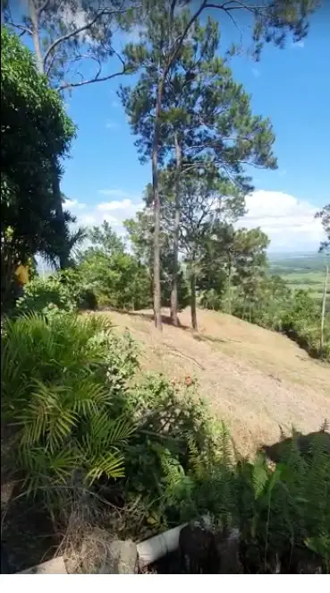 Venta de de finca en la Vega republica Dominicana Foto 7253909-6.jpg