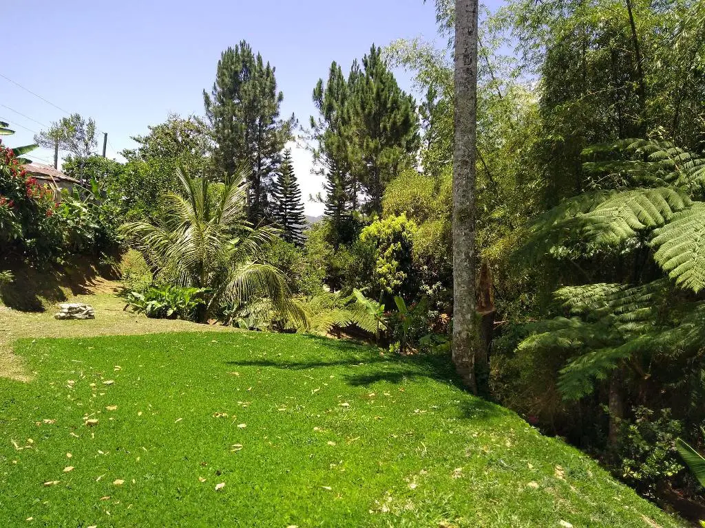 Vendo bonita finca ecológica con título en San Cristóbal Foto 7254493-1.jpg