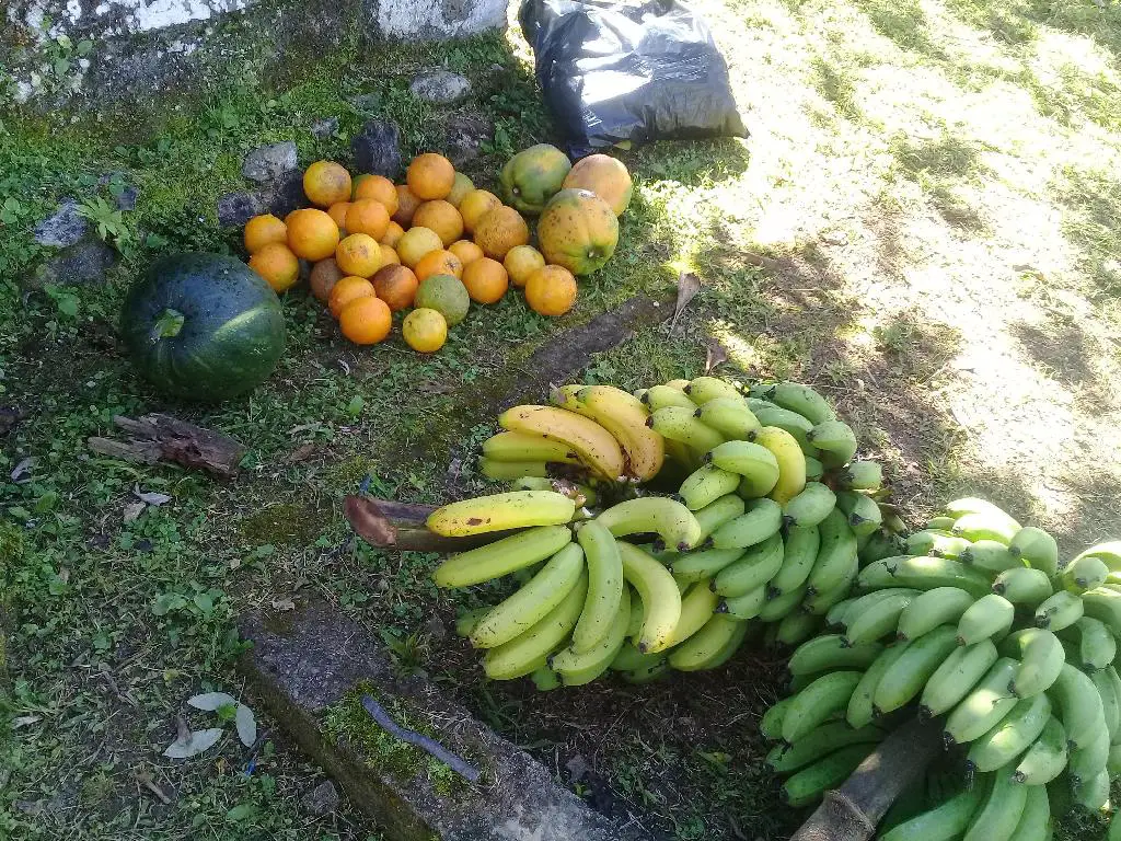 Vendo bonita finca ecológica con título en San Cristóbal Foto 7254493-11.jpg