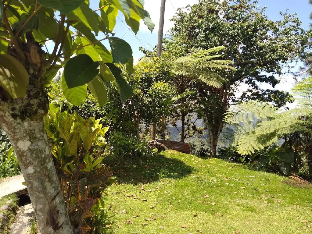 Vendo bonita finca ecológica con título en San Cristóbal Foto 7254493-4.jpg