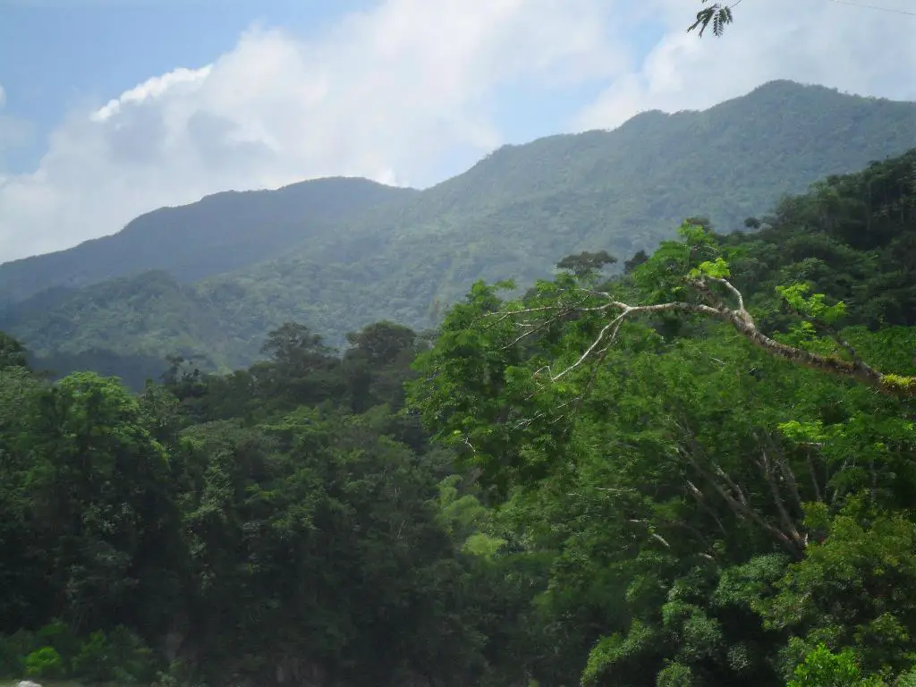 Vendo bonita finca ecológica con título en San Cristóbal Foto 7254493-7.jpg